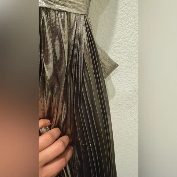 Maria Lucia Hohen Glamorous Metallic Maxi Dress - Picture 6 of 9